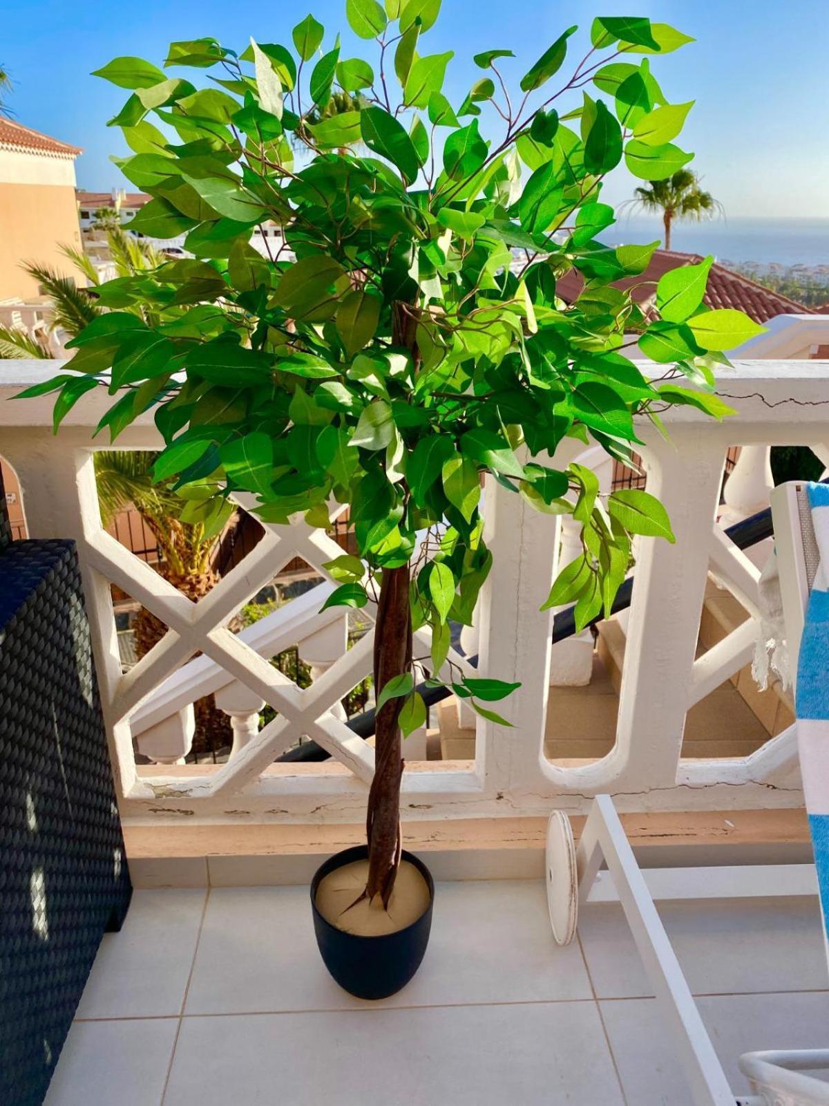 Passione Beautiful Apartment With Sea View Costa Adeje (Tenerife) Exterior foto